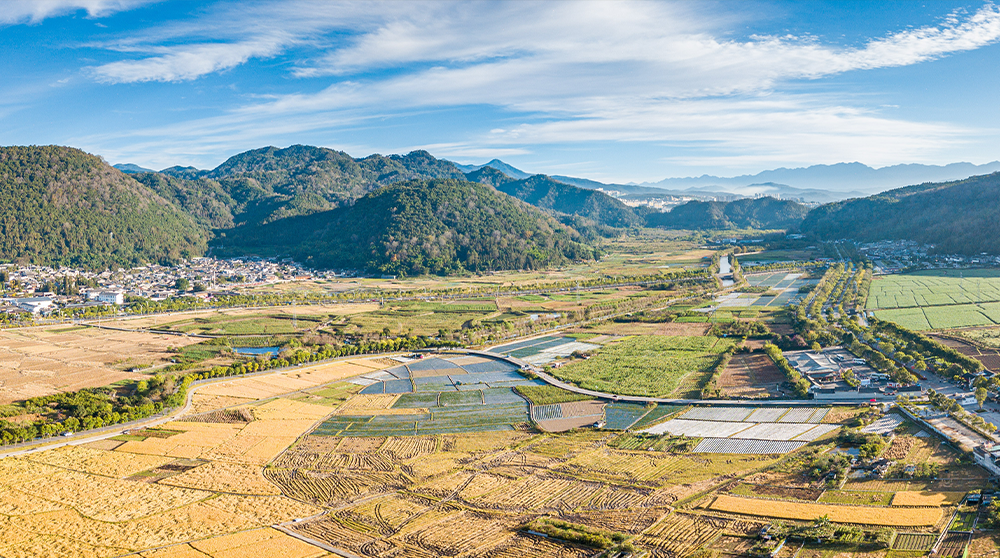 一村一警解決方案 一村一警解決方案